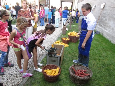 Gyerekek kukoricát morzsolnak kézi morzsolóval, mellettük kosarakban a csövek.